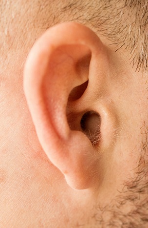 An ear ... the most important tool of the copywriter's trade listening to what businesses and their customers want