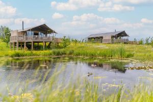 Birdholme Glamping. Photo by Alex Wilkinson Media.